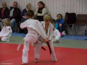 2013 03 05 - 016 Per Ottosson  